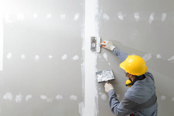 Trusted West Rancho Dominguez, CA Drywall & Painting Services Experts